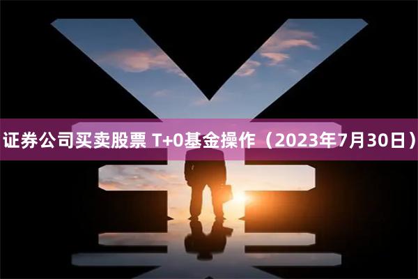 证券公司买卖股票 T+0基金操作（2023年7月30日）