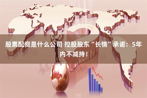 股票配资是什么公司 控股股东“长情”承诺：5年内不减持！