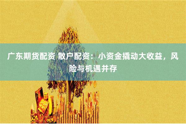 广东期货配资 散户配资：小资金撬动大收益，风险与机遇并存