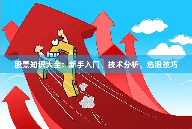 股票知识大全：新手入门、技术分析、选股技巧